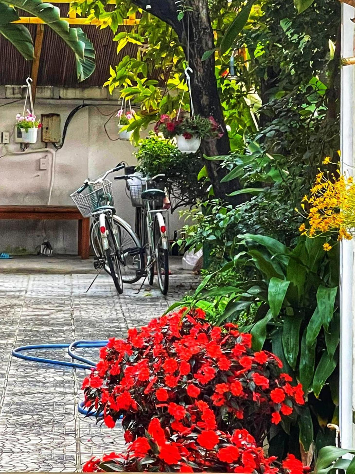 An Bang Gold Coast Beach Villa Hoi An Exterior foto