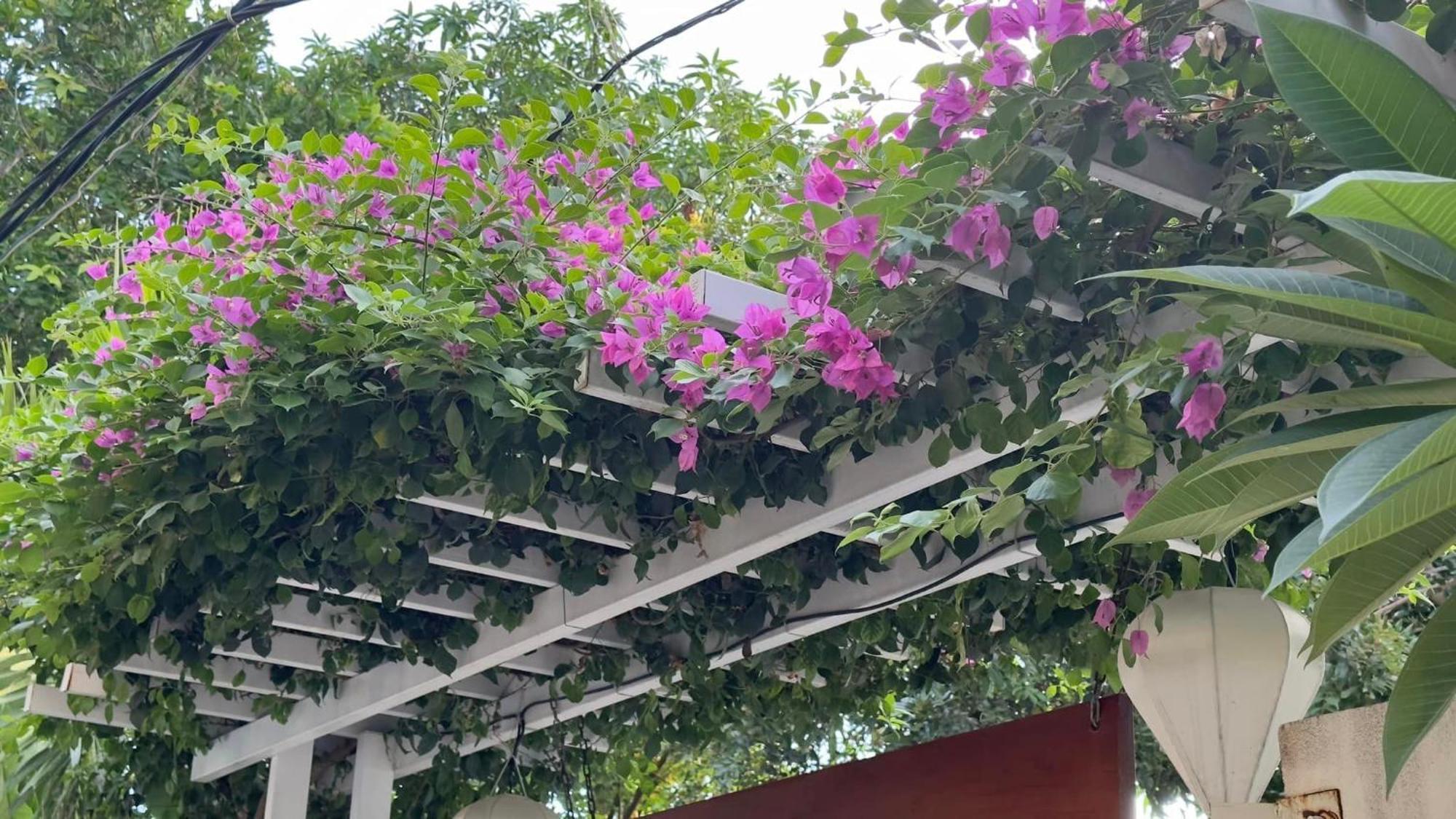 An Bang Gold Coast Beach Villa Hoi An Exterior foto